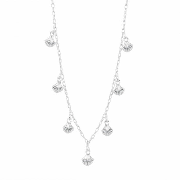 Muschel-Silberkette-chocker | KOOMPLIMENTS