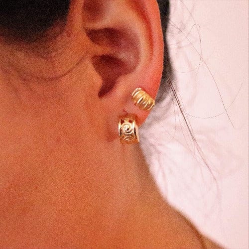 Ohrstecker Gold - Nautilus Ohrstecker KOOMPLIMENTS