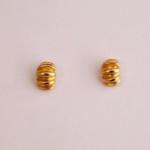 Ohrstecker Gold - Nautilus Ohrstecker KOOMPLIMENTS